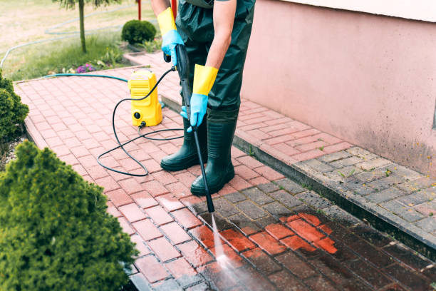 Roof Power Washing Services in Sherwood, WI