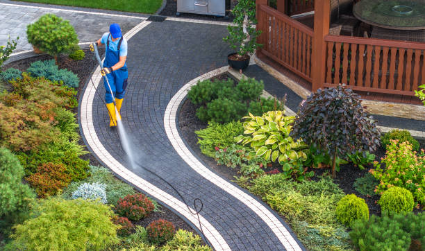 Best Pressure Washing Near Me  in Sherwood, WI